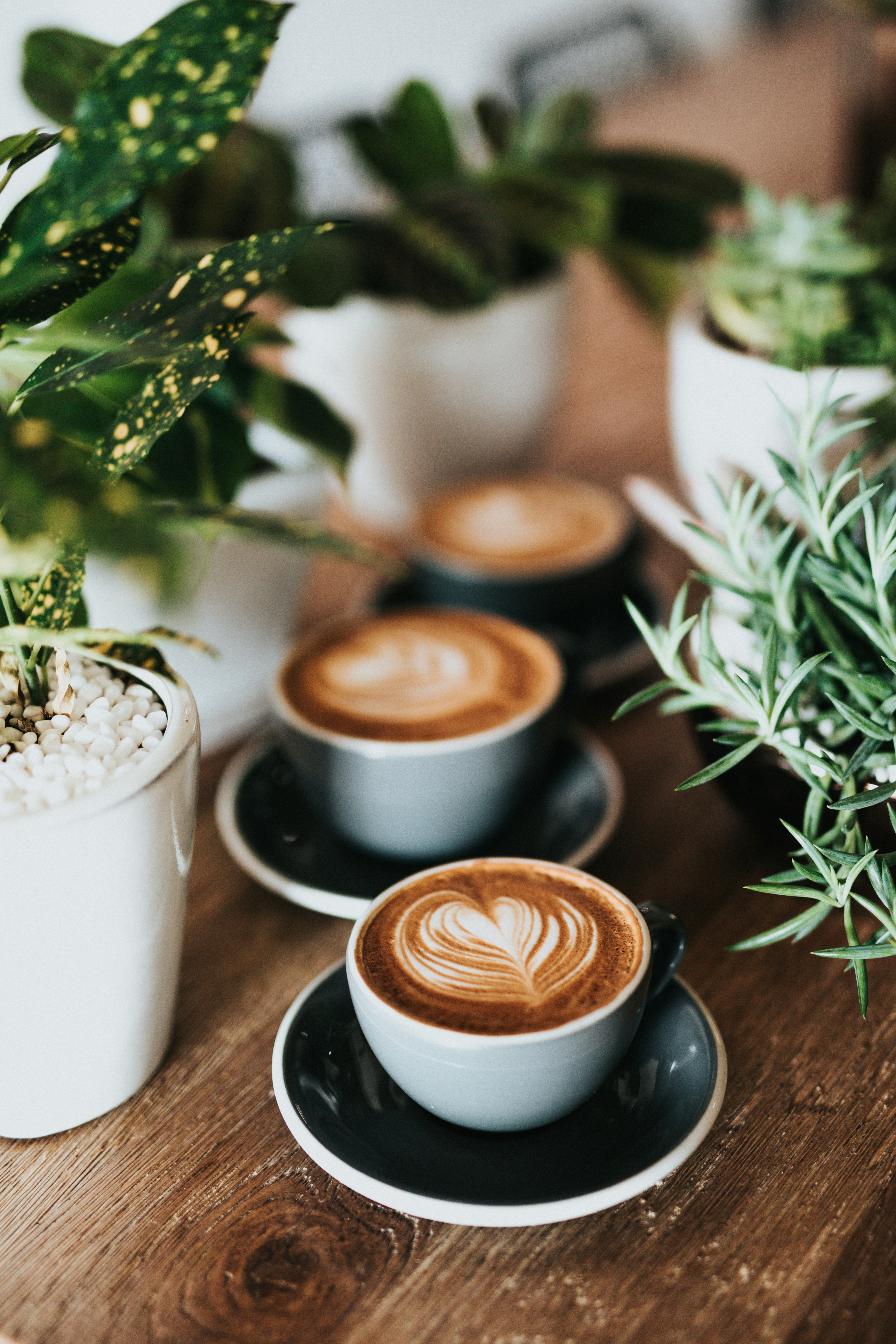 Frischer Cappuccino mit Latte Art